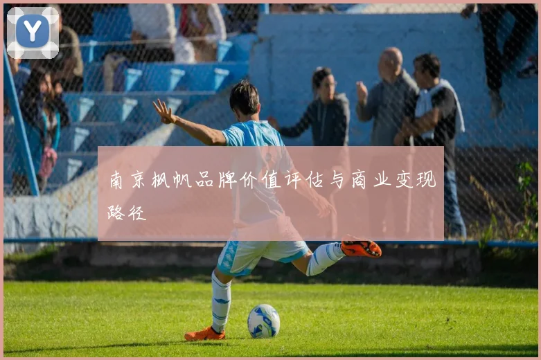 南京枫帆品牌价值评估与商业变现路径