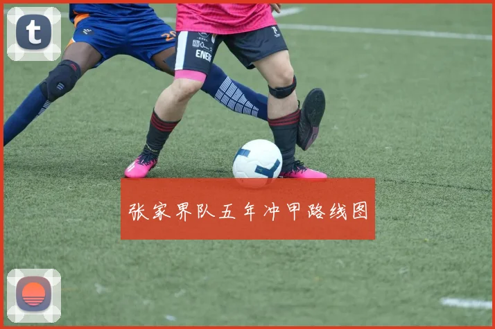 张家界队五年冲甲路线图